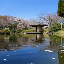 Kashiwa-no-ha Park - Kashiwa