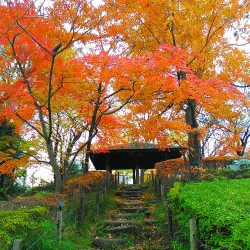 Arakawa River Park - Kawaguchi