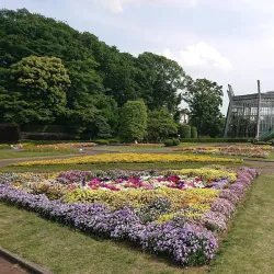 Kawaguchi Green Center - Kawaguchi