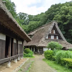 Ikuta Ryokuchi Park - Kawasaki