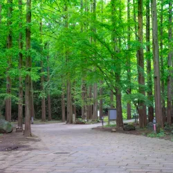 Ikuta Ryokuchi Park - Kawasaki