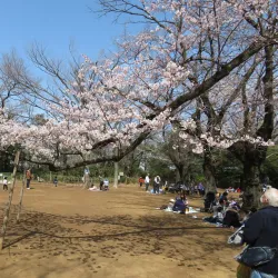 Ikuta Ryokuchi Park - Kawasaki