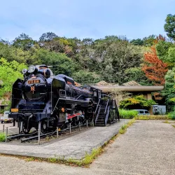 Ikuta Ryokuchi Park - Kawasaki