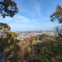 Ikuta Ryokuchi Park - Kawasaki