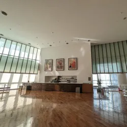 Muza Kawasaki Symphony Hall - Kawasaki