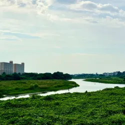 Tama River - Kawasaki