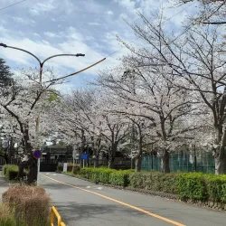 Todoroki Ryokuchi Park - Kawasaki