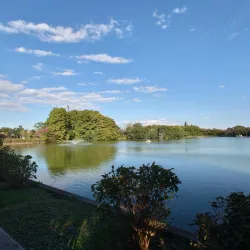 Todoroki Ryokuchi Park - Kawasaki