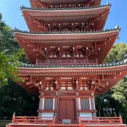 Chikurin-ji Temple - Kochi