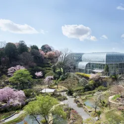 Makino Botanical Garden - Kochi