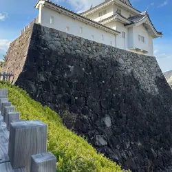 Kofu Castle (Maizuru Castle) - Kofu