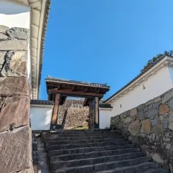 Maizuru Castle Park - Kofu