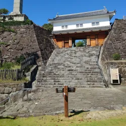 Maizuru Castle Park - Kofu