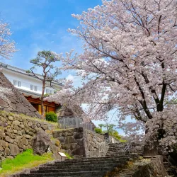 Maizuru Castle Park - Kofu