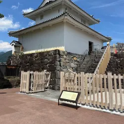 Maizuru Castle Park - Kofu