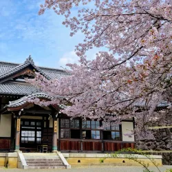 Maizuru Castle Park - Kofu