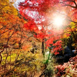 Shosenkyo Gorge - Kofu