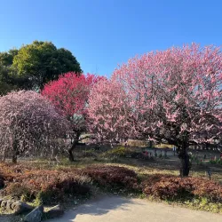 Koshigaya Green Park - Koshigaya
