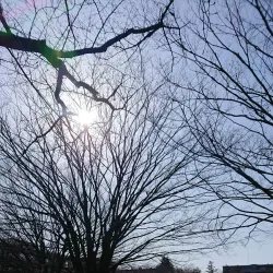 Minami Park - Koshigaya