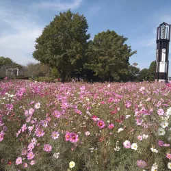 Kumamoto City Zoological and Botanical Gardens - Kumamoto
