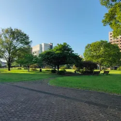 Waterfront Park (Shirakawa Park) - Kumamoto