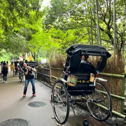 Arashiyama Bamboo Grove - Kyoto