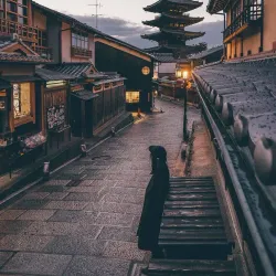 Arashiyama Bamboo Grove - Kyoto