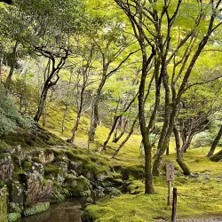 Ginkaku-ji (Silver Pavilion) - Kyoto