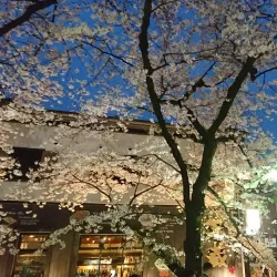 Gion District - Kyoto