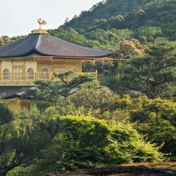 Kinkaku-ji (Golden Pavilion) - Kyoto
