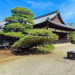 Kinkaku-ji (Golden Pavilion) - Kyoto