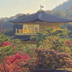 Kinkaku-ji (Golden Pavilion) - Kyoto