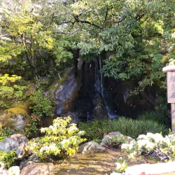 Kinkaku-ji (Golden Pavilion) - Kyoto