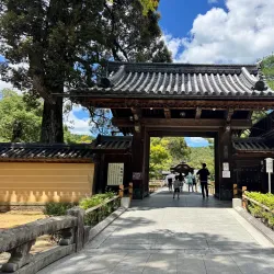 Kinkaku-ji (Golden Pavilion) - Kyoto