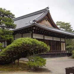 Kinkaku-ji (Golden Pavilion) - Kyoto
