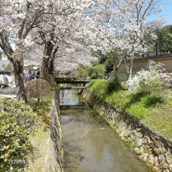 Philosopher's Path - Kyoto