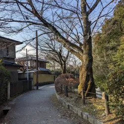Philosopher's Path - Kyoto