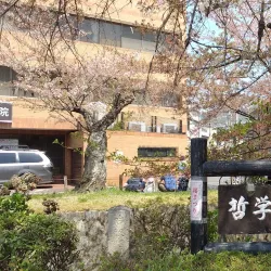 Philosopher's Path - Kyoto