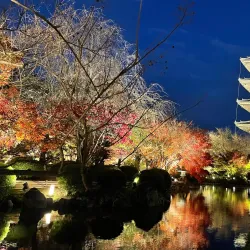 To-ji Temple - Kyoto