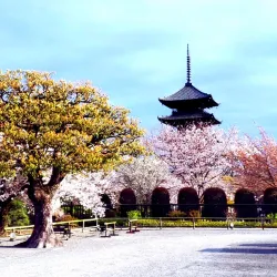 To-ji Temple - Kyoto