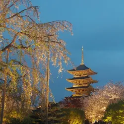 To-ji Temple - Kyoto