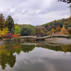 Yakushiike Park - Machida