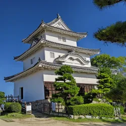 Marugame Castle Park Cherry Blossoms - Marugame