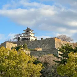Marugame Castle Park Cherry Blossoms - Marugame