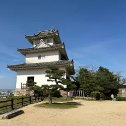 Marugame Castle Park Cherry Blossoms - Marugame