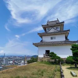 Marugame Castle Park Cherry Blossoms - Marugame