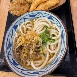 Marugame City Central Park - Marugame