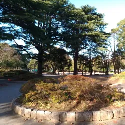 Matsudo Central Park - Matsudo