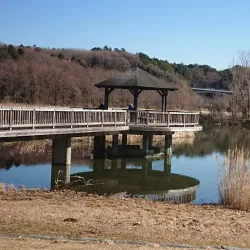 Matsudo Green Park - Matsudo