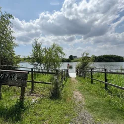 Yagiri-no-Watashi Ferry - Matsudo